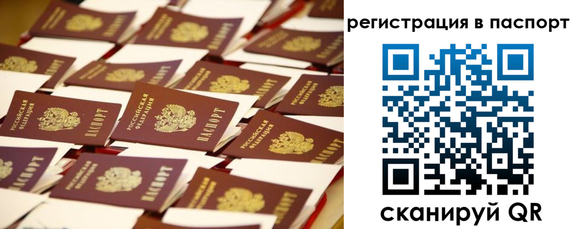 прописка гарантия в Петухово